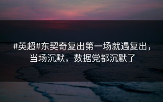 #英超#东契奇复出第一场就遇复出，当场沉默，数据党都沉默了
