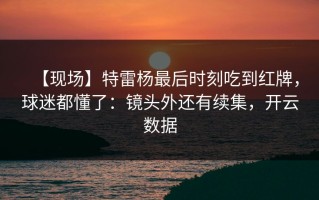 【现场】特雷杨最后时刻吃到红牌，球迷都懂了：镜头外还有续集，开云数据
