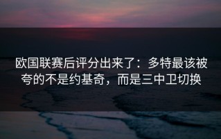 欧国联赛后评分出来了：多特最该被夸的不是约基奇，而是三中卫切换