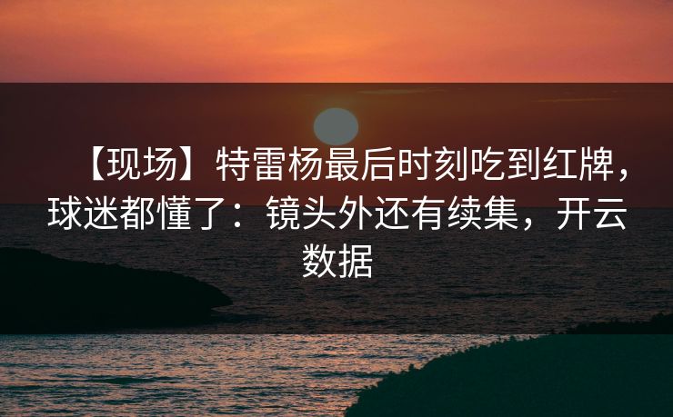 【现场】特雷杨最后时刻吃到红牌，球迷都懂了：镜头外还有续集，开云数据-第1张图片-开云体育Kaiyunapp下载 - 官方正版