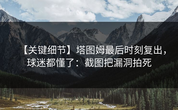 【关键细节】塔图姆最后时刻复出，球迷都懂了：截图把漏洞拍死-第1张图片-开云体育Kaiyunapp下载 - 官方正版